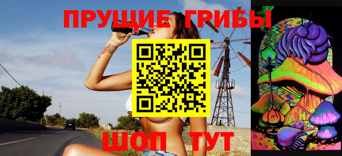 Псилоцибиновые грибы прущие грибы  Вход с VPN  Псилоцибиновые грибы мицелий  Екатеринбург 